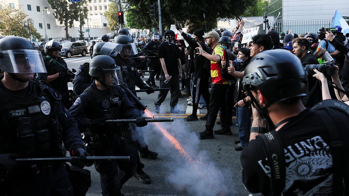 Report: Trump's ICE crackdown continues despite LA riots