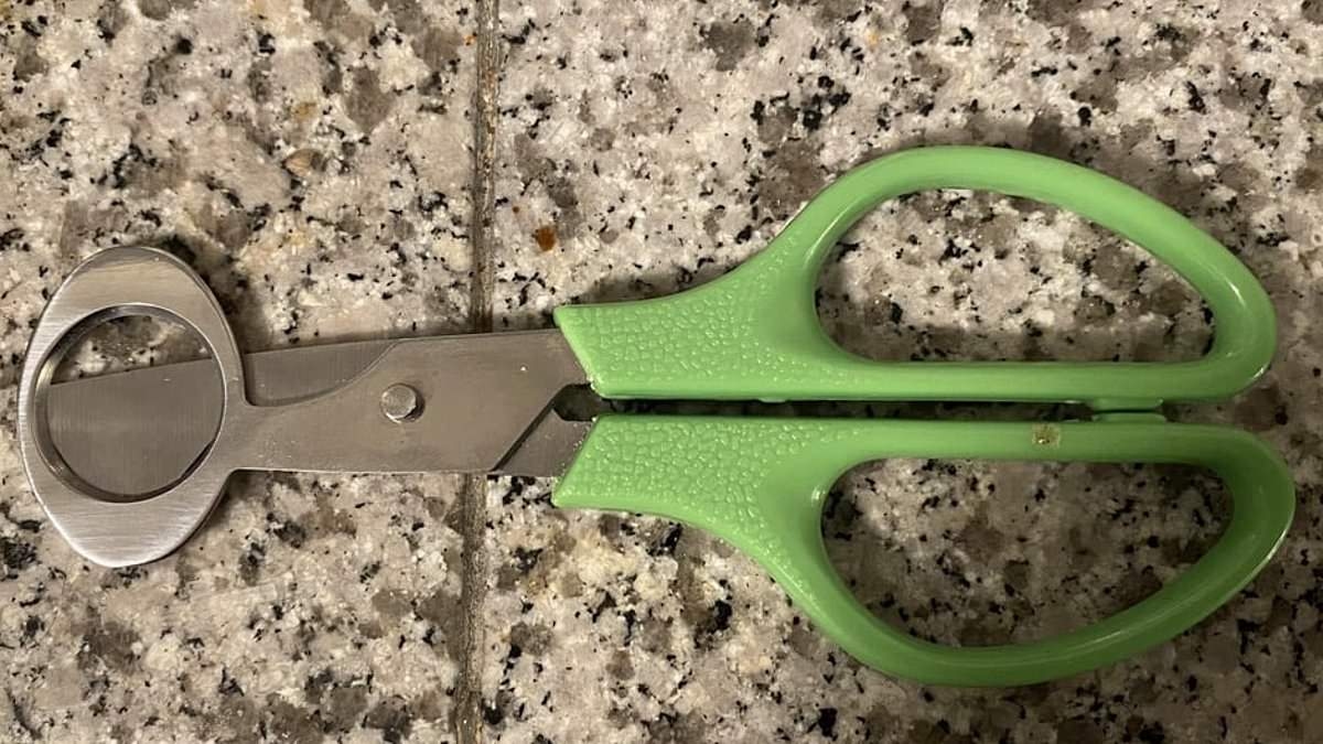 I moved into my parent's home after they passed away and found a bizarre object with an unusual use