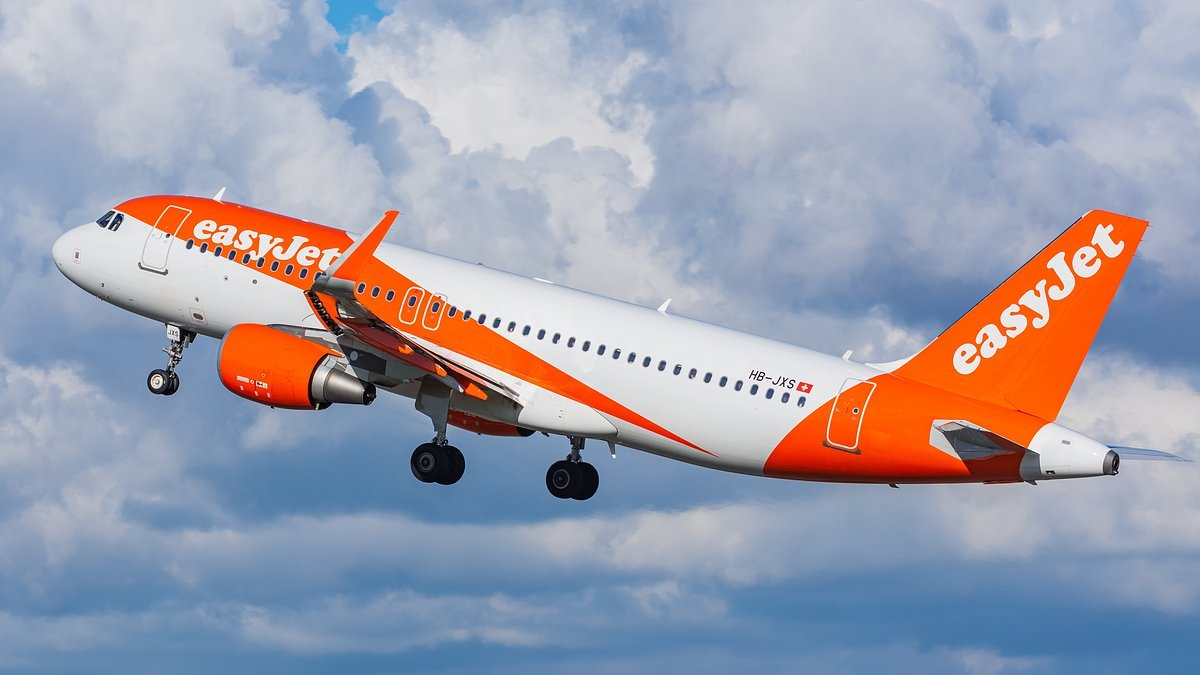 The aircraft budget airlines use revealed