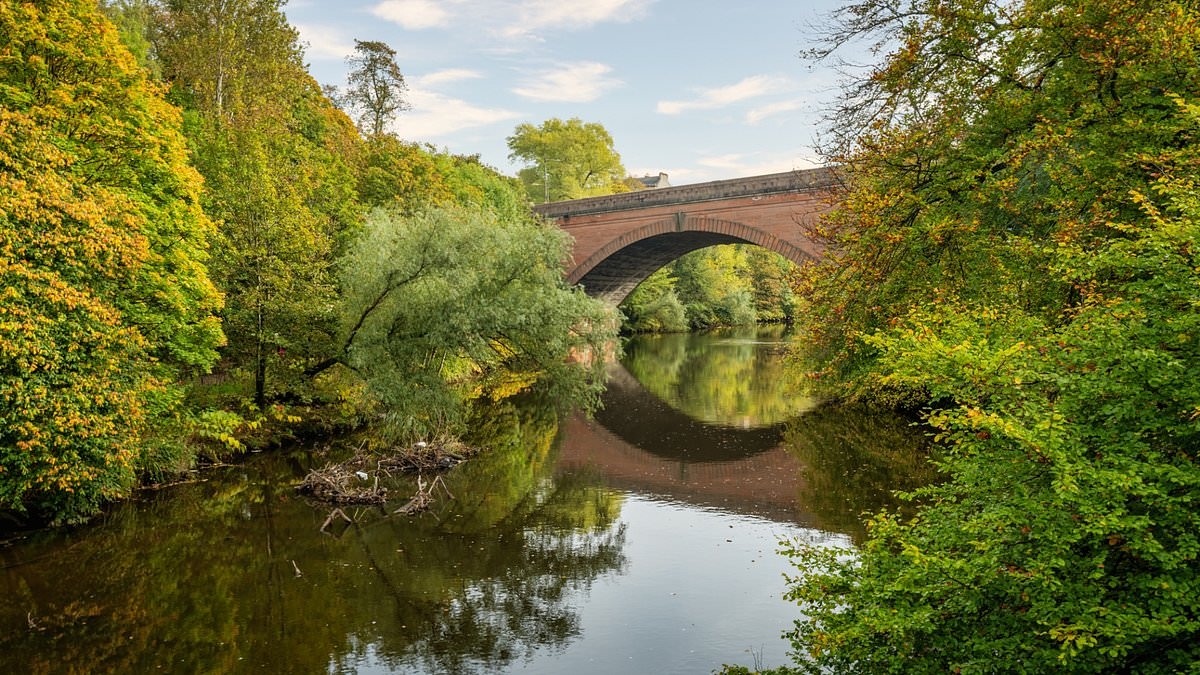 Scientists discover toxic 'forever chemicals' that can impact human FERTILITY in 98% of UK rivers