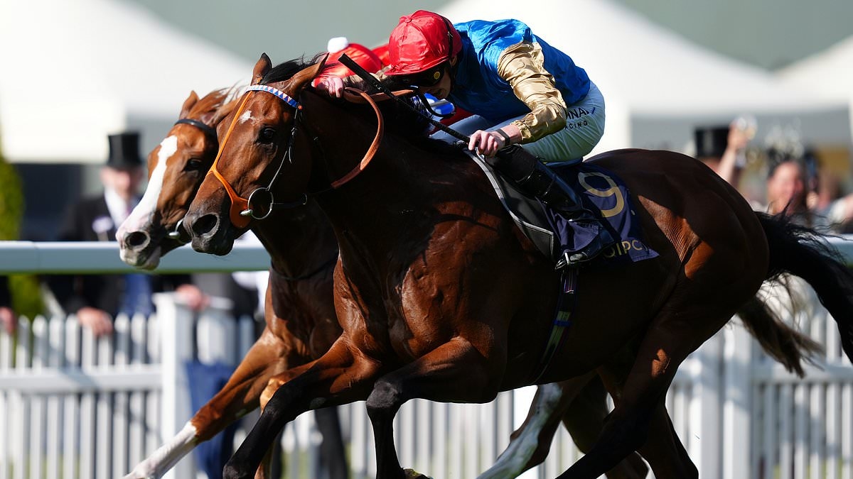 Robin Goodfellow's racing tips: Best bets for Wednesday, June 25