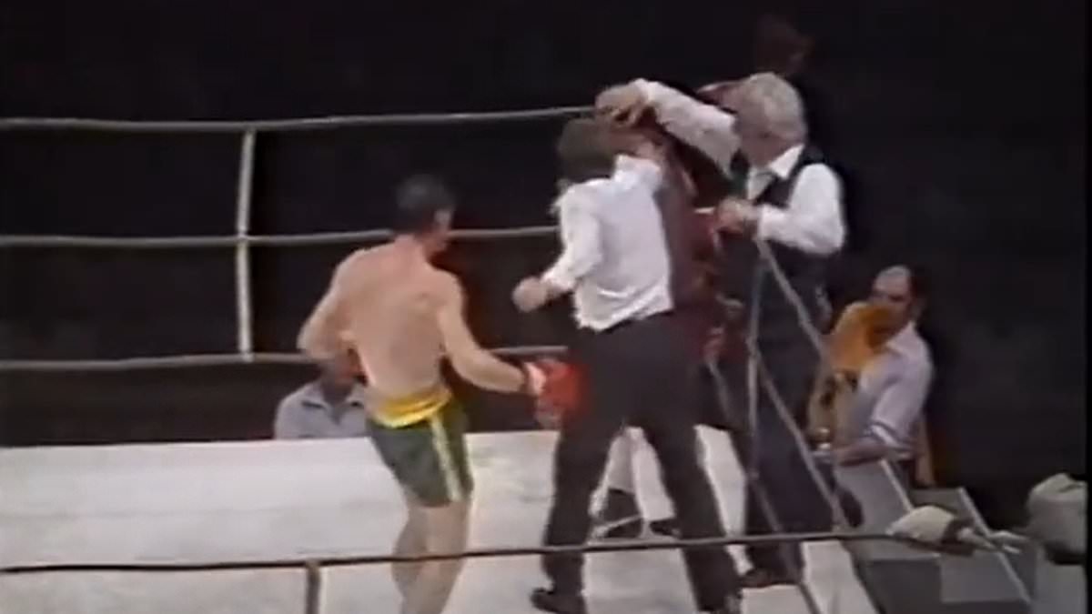 Inside Aussie boxing's wildest fight night as coaches and even the ref throw punches in melee that saw the sport BANNED from the Sydney Opera House