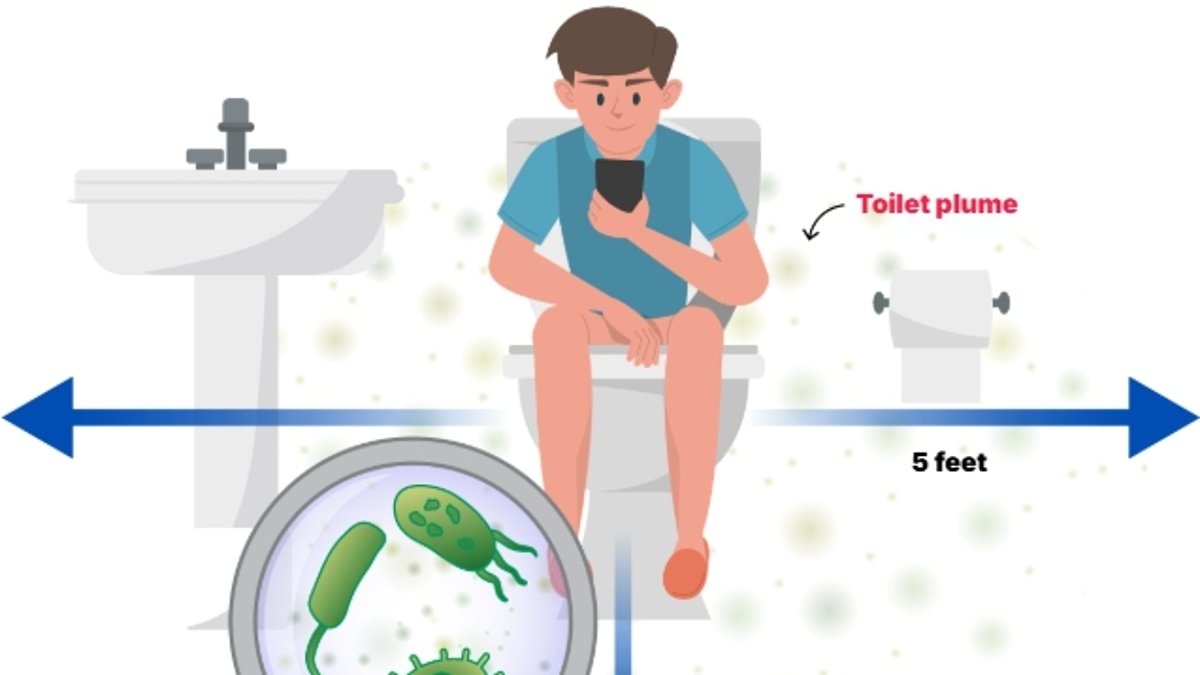 The doo-doos and don'ts! Doctor explains why you should never use your phone on the toilet