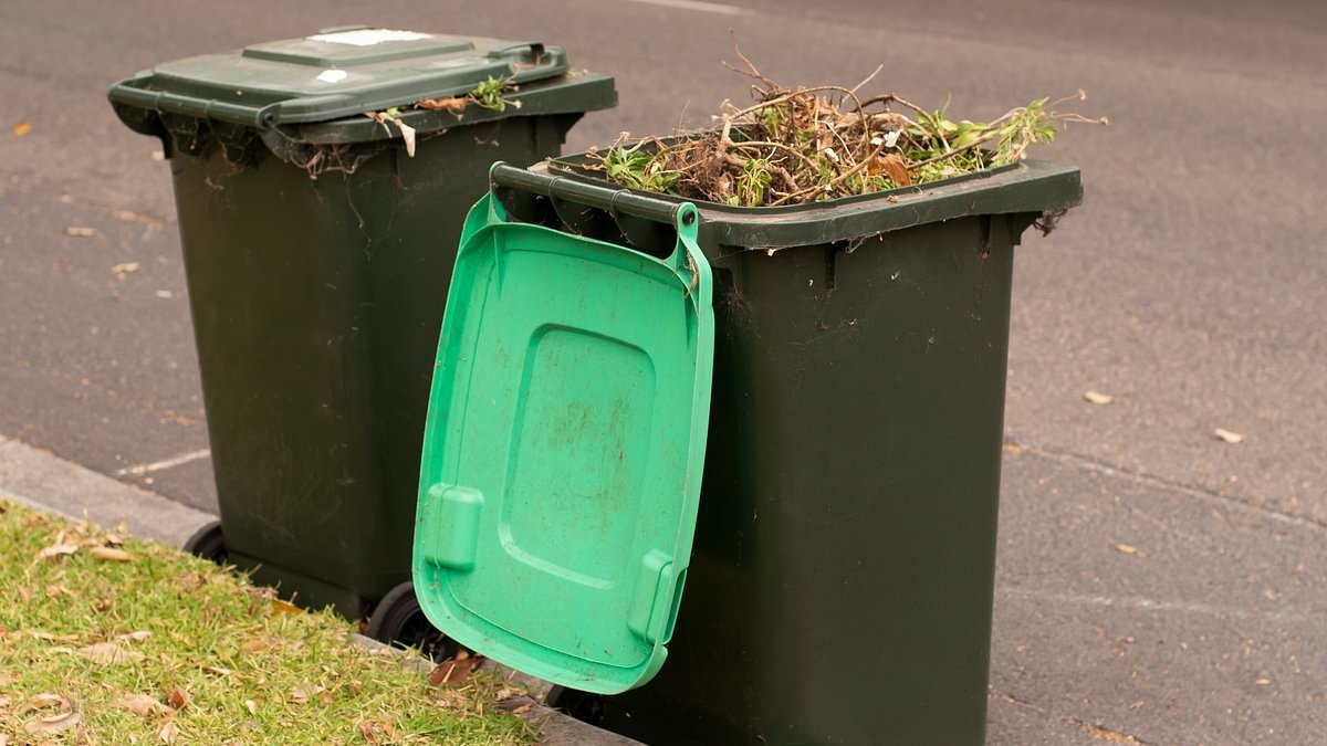 Brisbane City Council bin changes: What you need to know