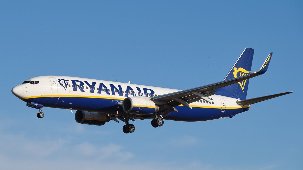 Ryanair demands urgent intervention as passengers face long delays and missed flights at major airport