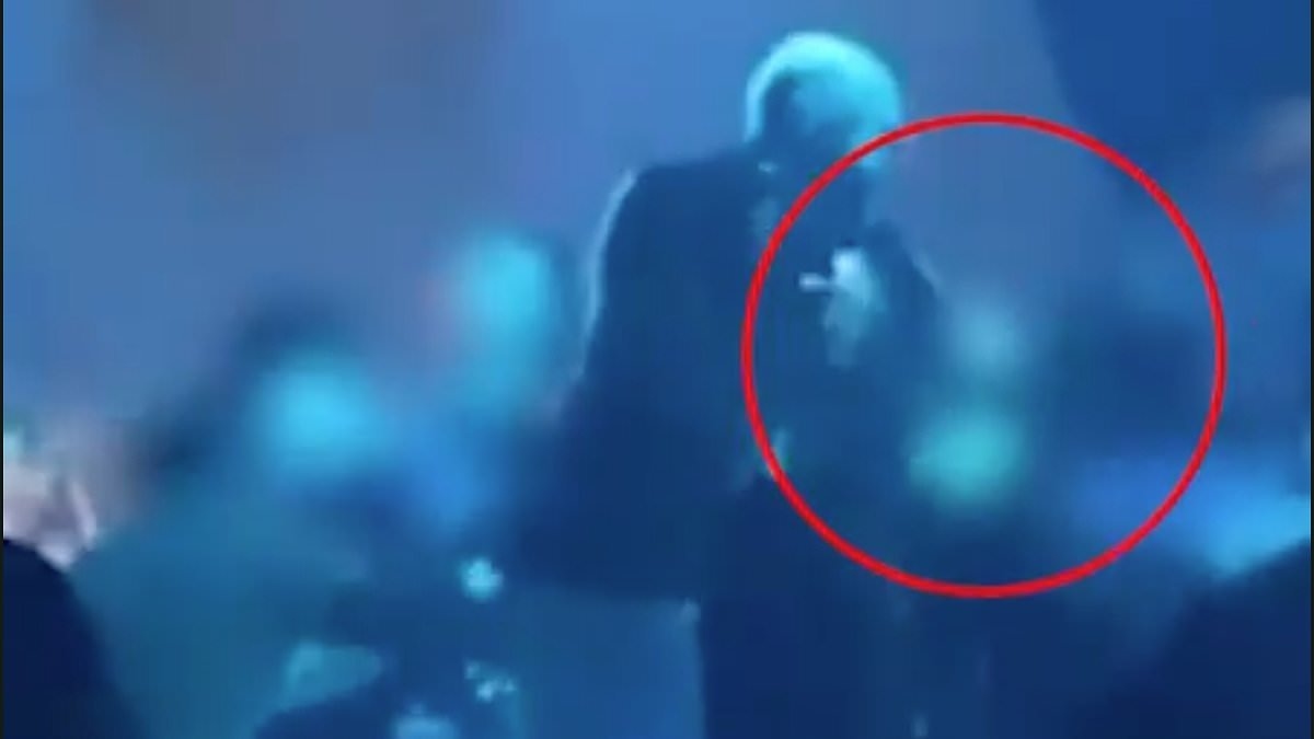 Wayne Lineker 'reveals victim hit by Conor McGregor in Ibiza nightclub and praises him for 'taking punches like a champion' while slamming the MMA fighter'