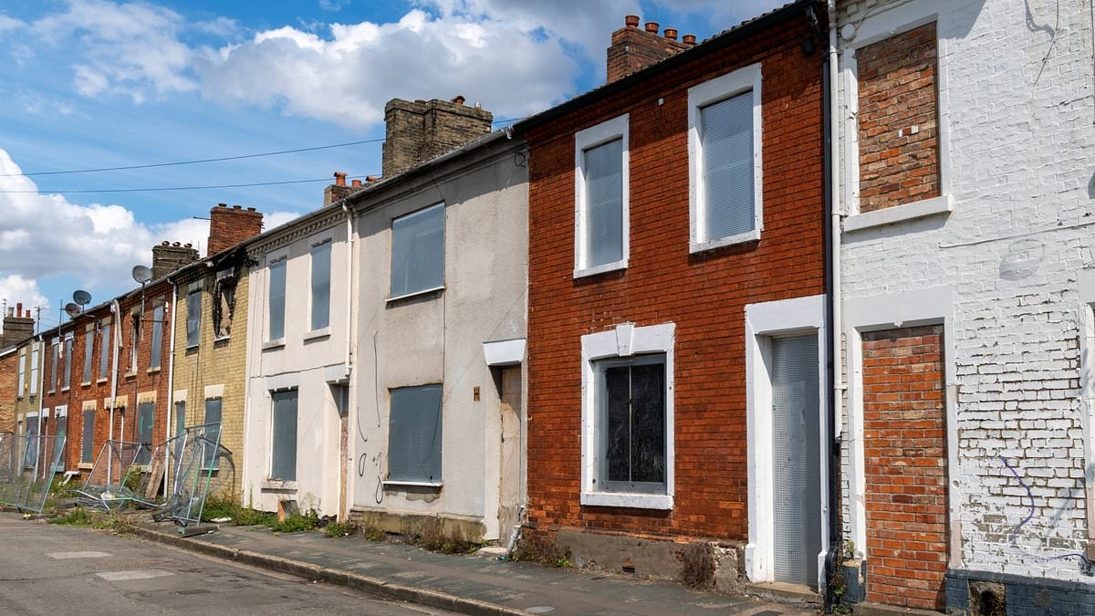 EXCLUSIVE Why a messy neighbour could wipe £43,000 off YOUR home's value?