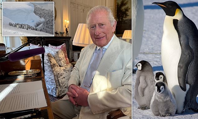King Charles pays tribute to 'resilience' of antarctic research scientists