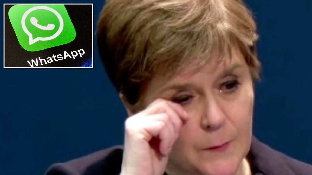 STEPHEN DAISLEY: We're governed by a born-to-rule elite...and the WhatsApp scandal shows EXACTLY how out of touch they are