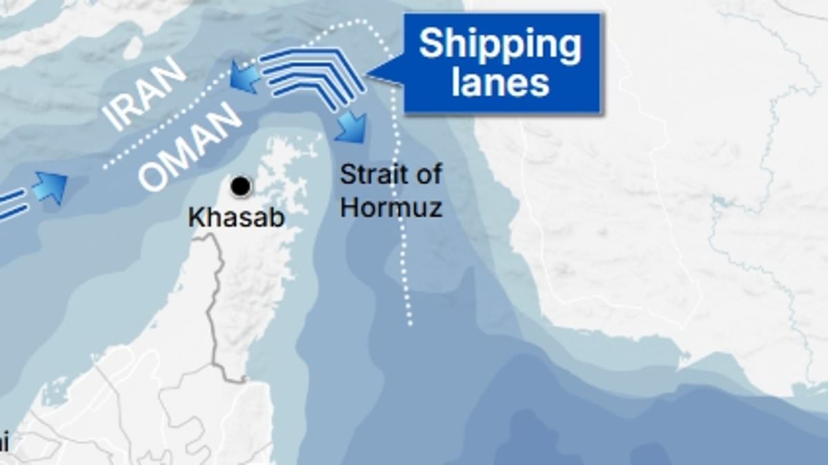 Shipping in Strait of Hormuz is hit by 'higher levels' of satellite signal electronic interference, with ships stopping at Dubai rather than risk entering major transport route Iran threatened to close