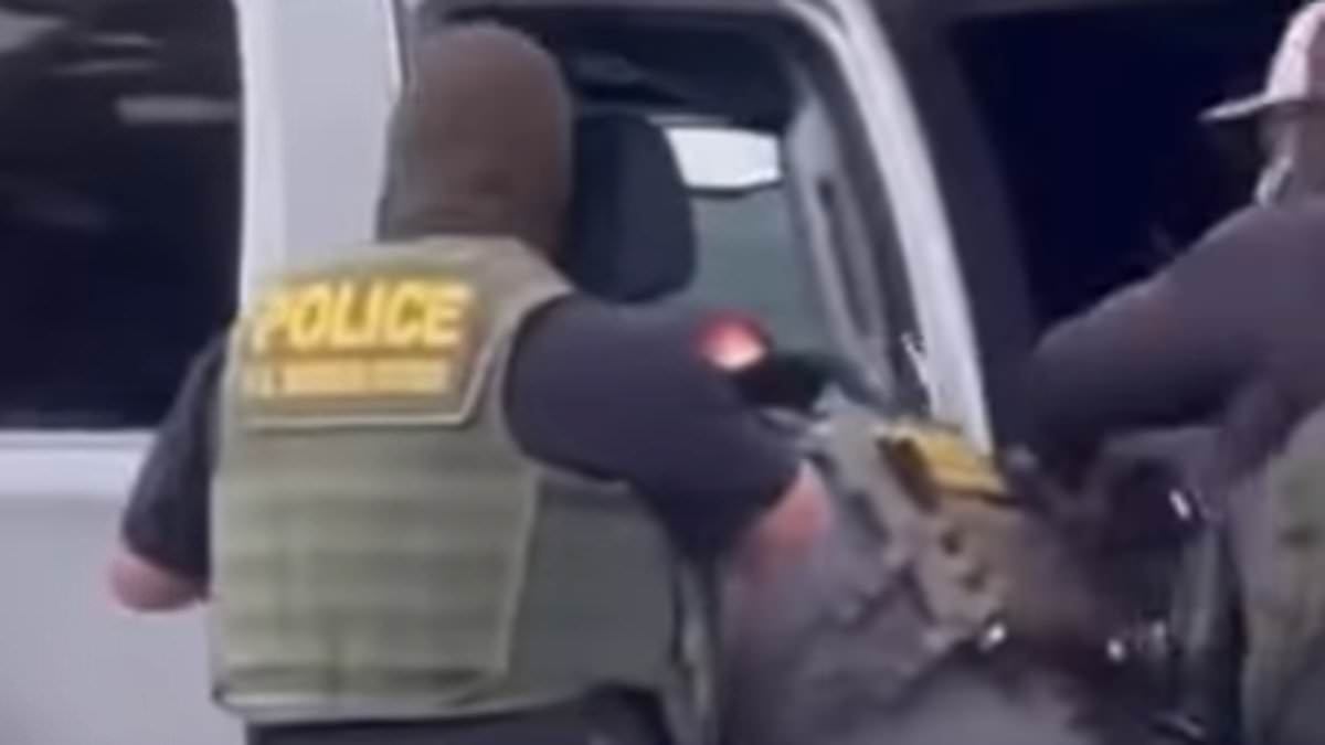 Brutal arrest of illegal migrant in California is caught on camera as his three Marine sons beg ICE for mercy