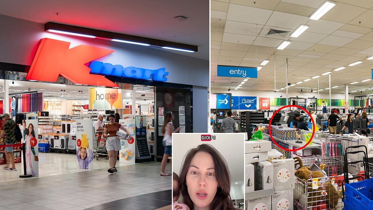My urgent warning to everyone shopping at Kmart this winter: 'I know it's $15 but do not use it'