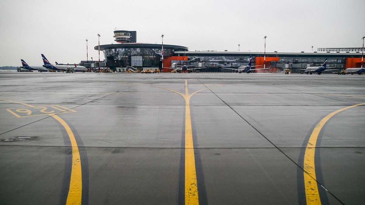 Boy, two, 'in a coma after airline passenger throws him to the floor in airport lounge'