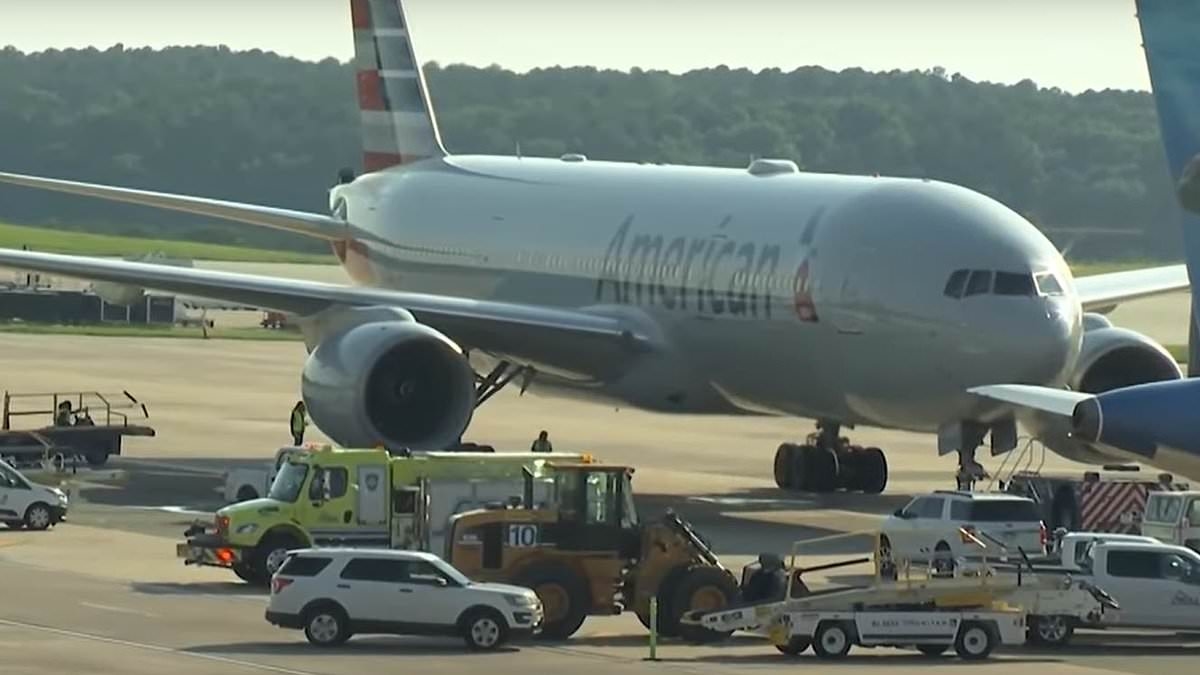 Five people aboard American Airlines flight rushed to hospital after traumatic incident