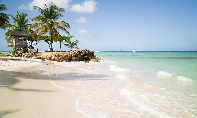 Hummingbirds, crystal clear waters, rainforest trails and unspoilt beaches: Tobago is the Caribbean island where you can really switch off