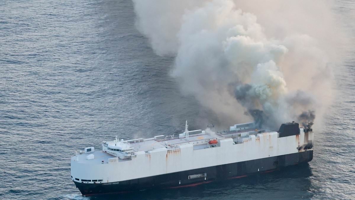Cargo ship stuffed with EVs catches fire and sinks off coast of Alaska