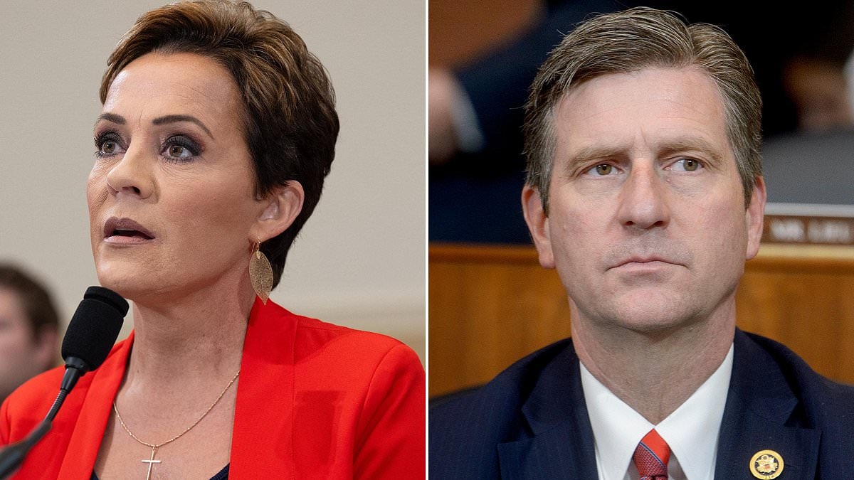 Kari Lake makes astonishing claim about congressman's 'gay lover' during off the rails congressional hearing