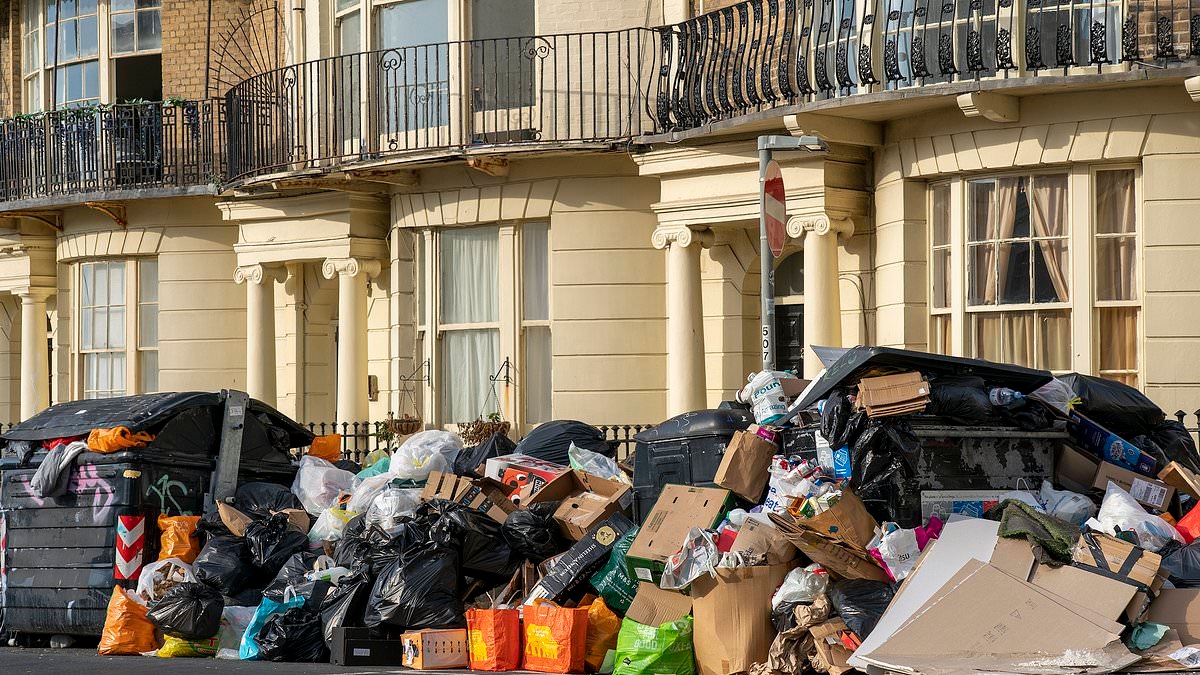 EXCLUSIVE Brighton's bin mafia exposed: Threats to stab people. A suicide. Even a STONING... all from the people in charge of rubbish collection. Now the Mail names the two bully boys accused of presiding over a culture of fear