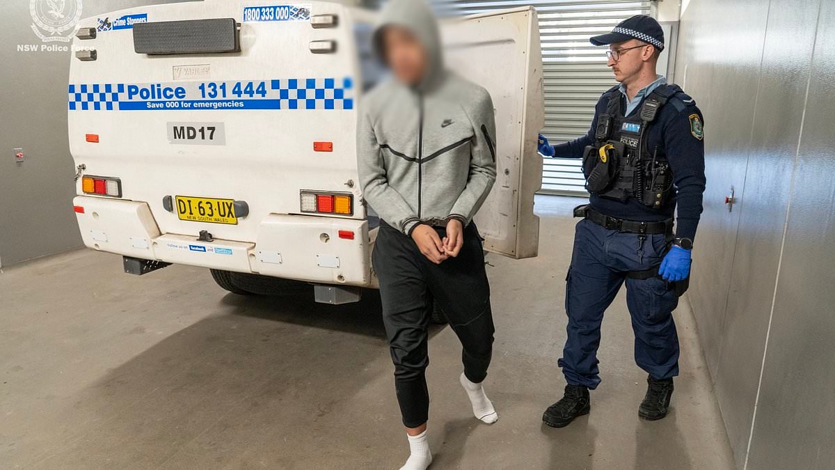 Sydney teenager charged after brazen stabbing attack at Kmart in Sydney - as police reveal shocking new details
