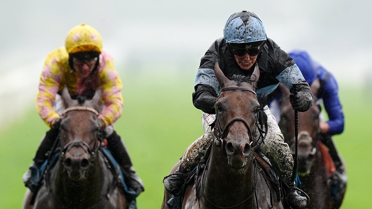 Robin Goodfellow's racing tips: Best bets for Thursday, June 26