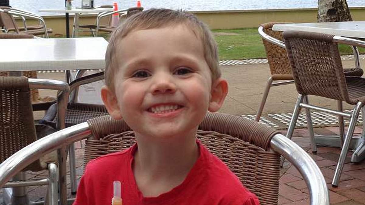 Top cop in William Tyrrell investigation reveals heartbreaking text from missing boy's foster mum almost 11 years after he disappeared