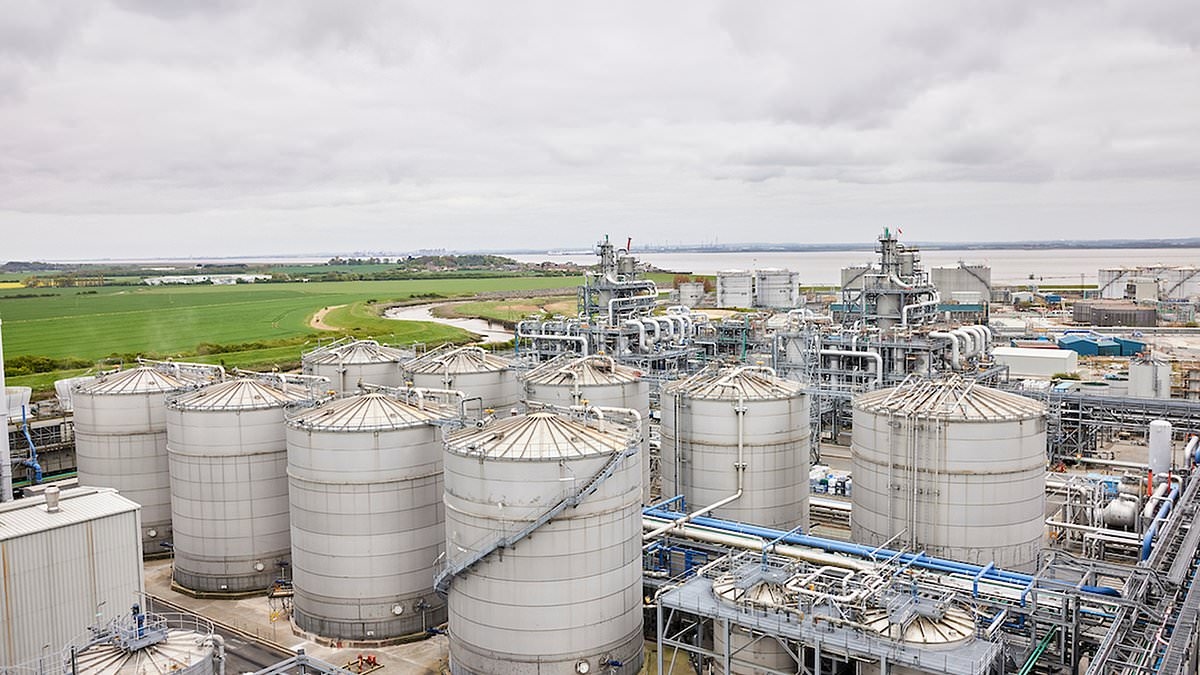 Britain's biggest bioethanol producer could close after UK-US trade deal