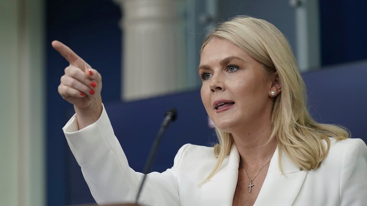 White House's thinly-veiled threat to Albanese over defense spending