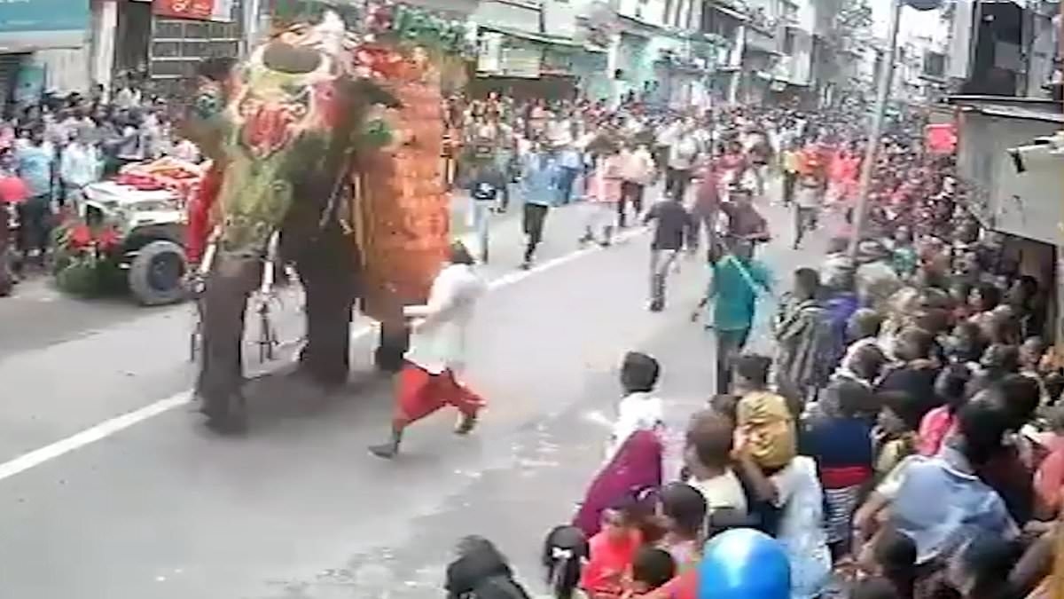 Moment out-of-control elephants turn on their handlers and trample crowd at Indian festival