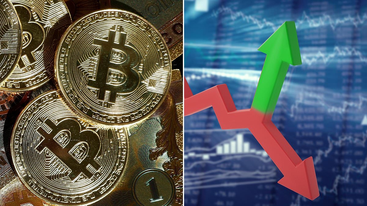 The bitcoin treasury rush that has sent small British companies shares rocketing by as much as 6,011%