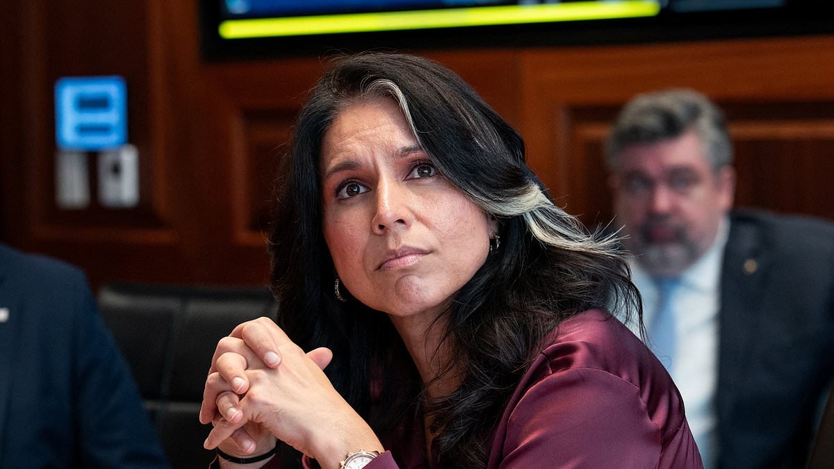 Republican senators propose slashing size of Gabbard's intel office