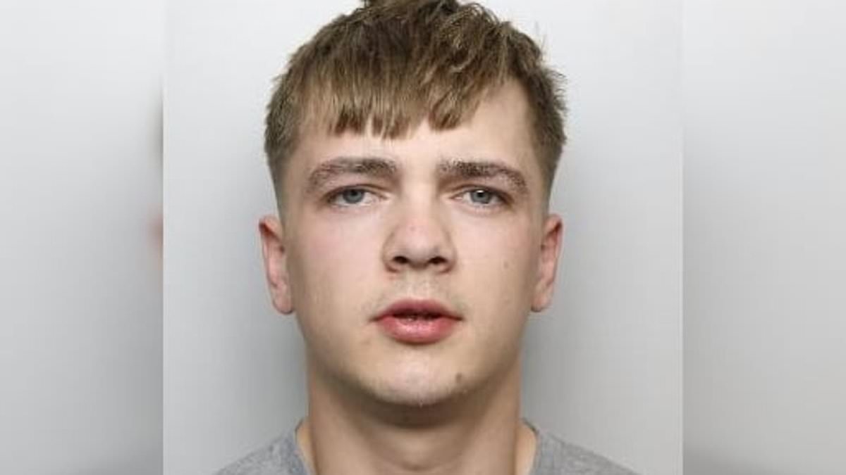 Driver, 20, who inhaled laughing gas moments before he hit and killed cyclist, 81, on pedestrian crossing faces a 'very long time in jail'