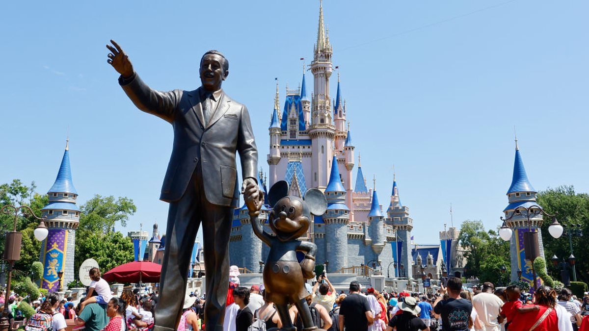Disney World fan sparks fierce debate after making major complaint about the beloved theme park