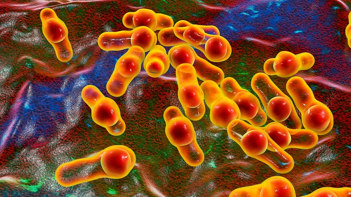 Urgent vaccination warning for Aussie travellers heading to Europe