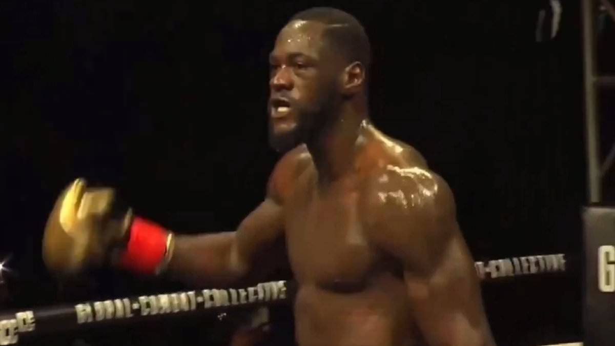 BREAKING NEWS Deontay Wilder wins his first fight in three years with stoppage of Tyrrell Herndon in comeback bout