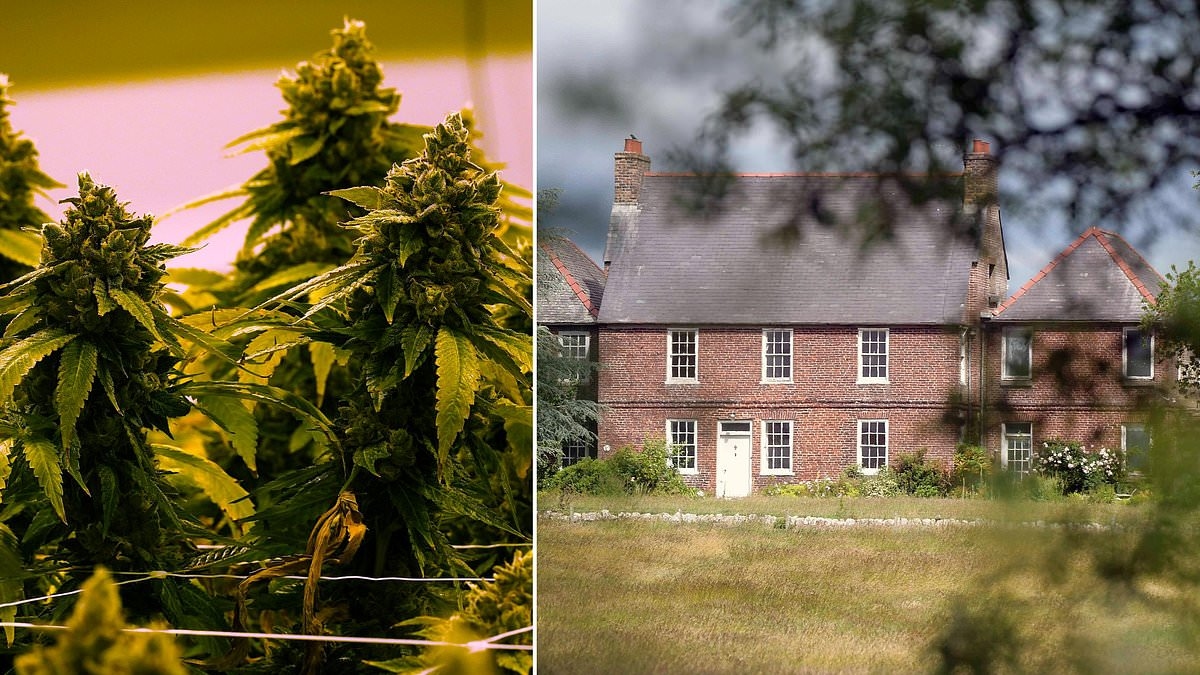 SNP politician, 71, charged after police discover £1/2million cannabis farm at idyllic rural home