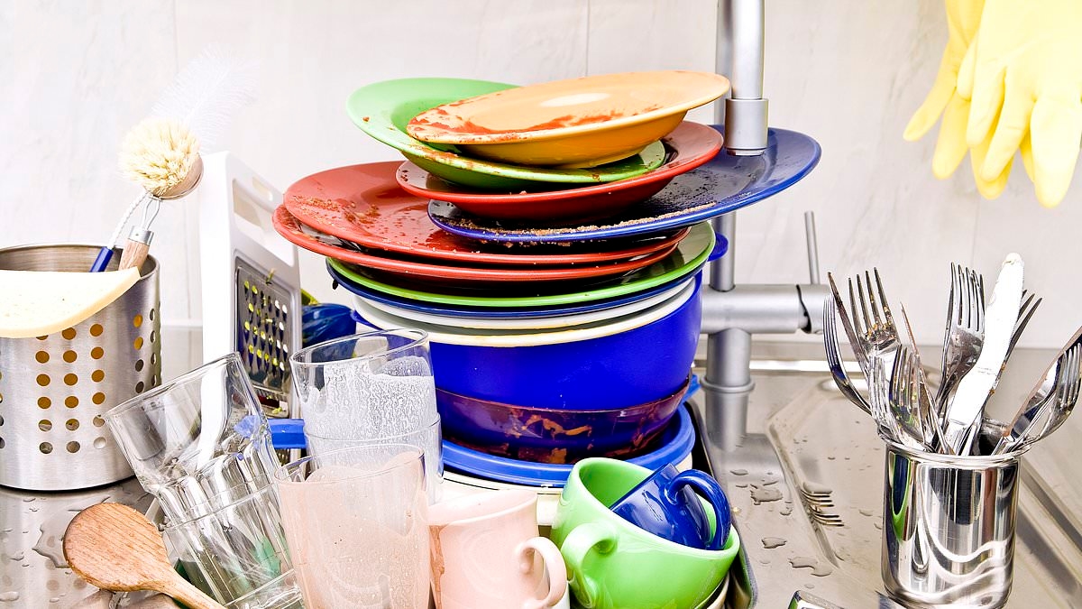 Dirty dishes in the sink? Almost a quarter of Gen Z say they let their plates and cutlery marinate for THREE DAYS before cleaning them