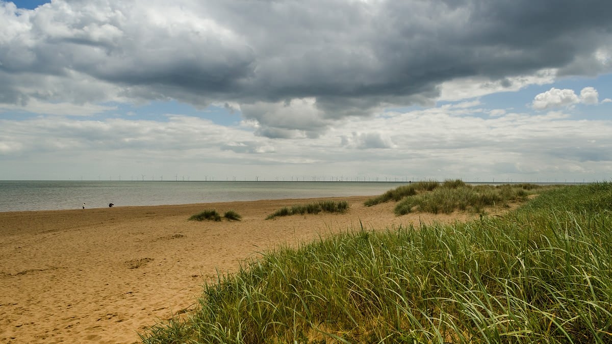 Body found in search for missing teenage boy who vanished at beach beauty spot