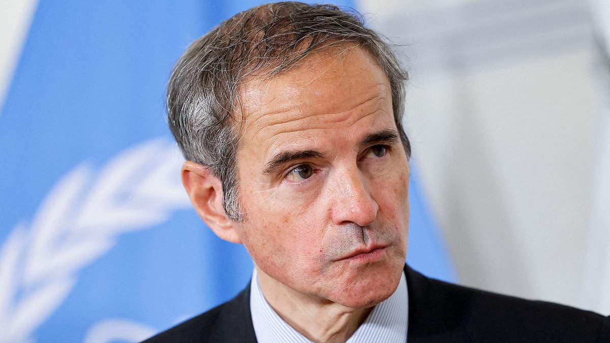 Iran could restart enriching uranium again in a 'matter of months', UN's nuclear weapons watchdog chief warns