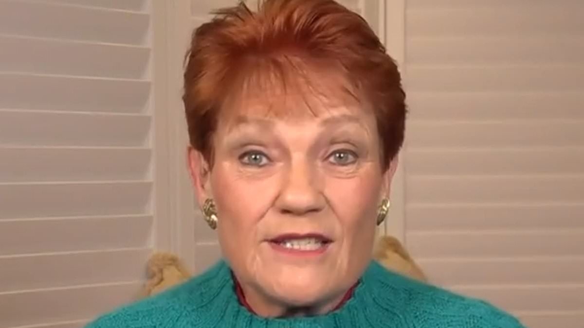Pauline Hanson left appalled by another Australian politician's act: 'Absolutely disgusted with it'
