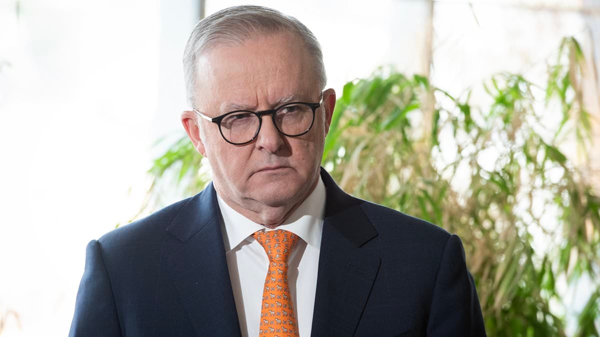 Why Anthony Albanese's radical plan for super will hit FIVE MILLION Aussies - not just 80,000 people Labor claims