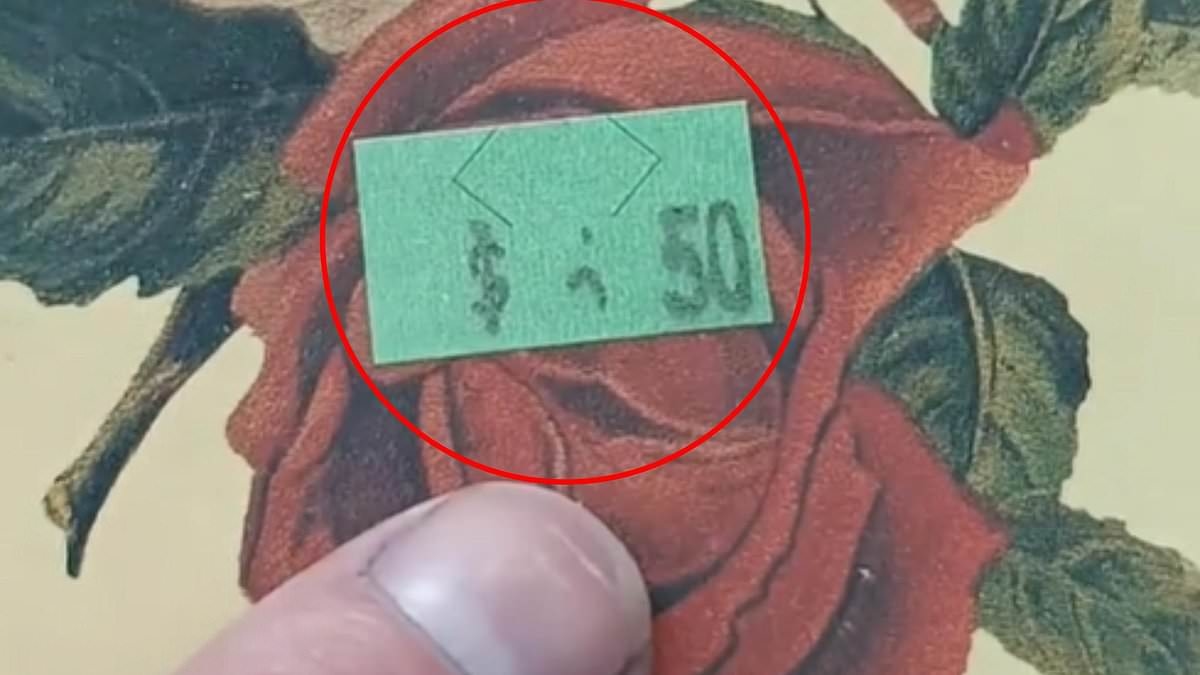 Casey thought she had scored a bargain at an op-shop... but her argument with a staff member over the real price has exposed a huge issue across Australia