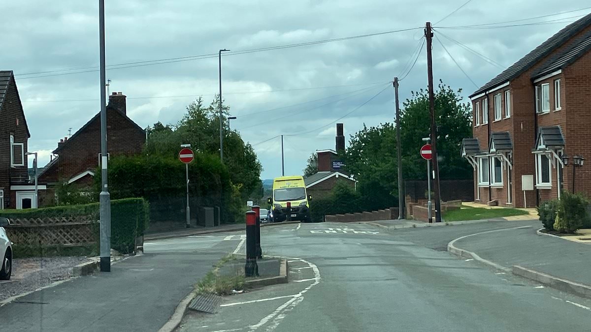 Onlookers left 'in tears' as young child dies after being air lifted to hospital and police descend on street close to school