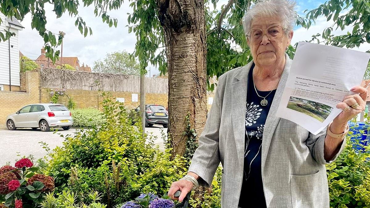 Great-grandmother, 86, ordered by housing association to remove plant pots outside her home as it would 'stop them cutting the grass'