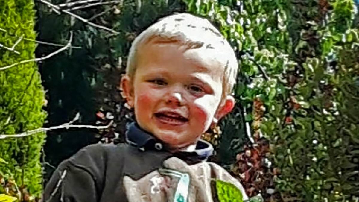 Boy, three, died in a 'furious and prolonged' attack by 'dangerous' 50kg dogs after his parents allowed him to wander into their pen unsupervised, court hears