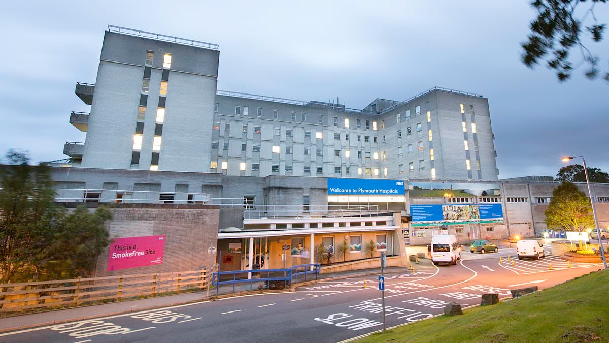 Mother tells inquest how she watched her toddler son die from sepsis after he was admitted to hospital twice in just 36 hours