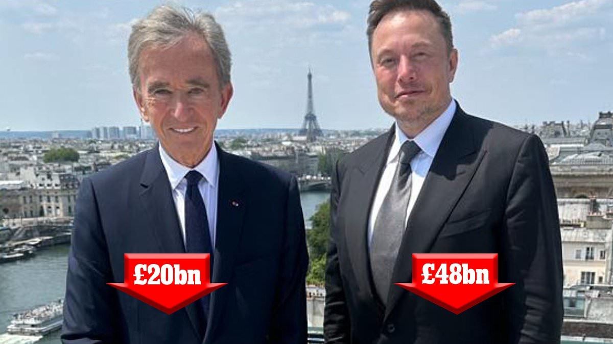 Arnault and Musk loose £68bn in just six months as value of their companies tumbles