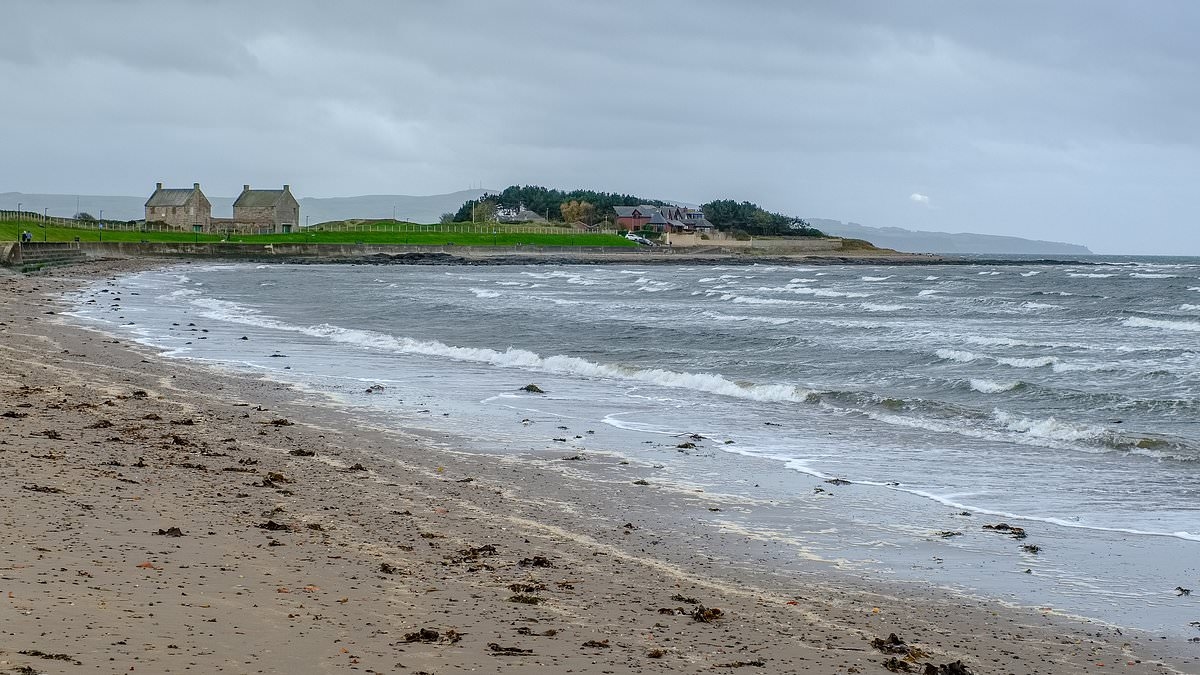 Horror as human leg 'with sock and shoe still on it' washes up on beach - as police link it to body found 70 miles away