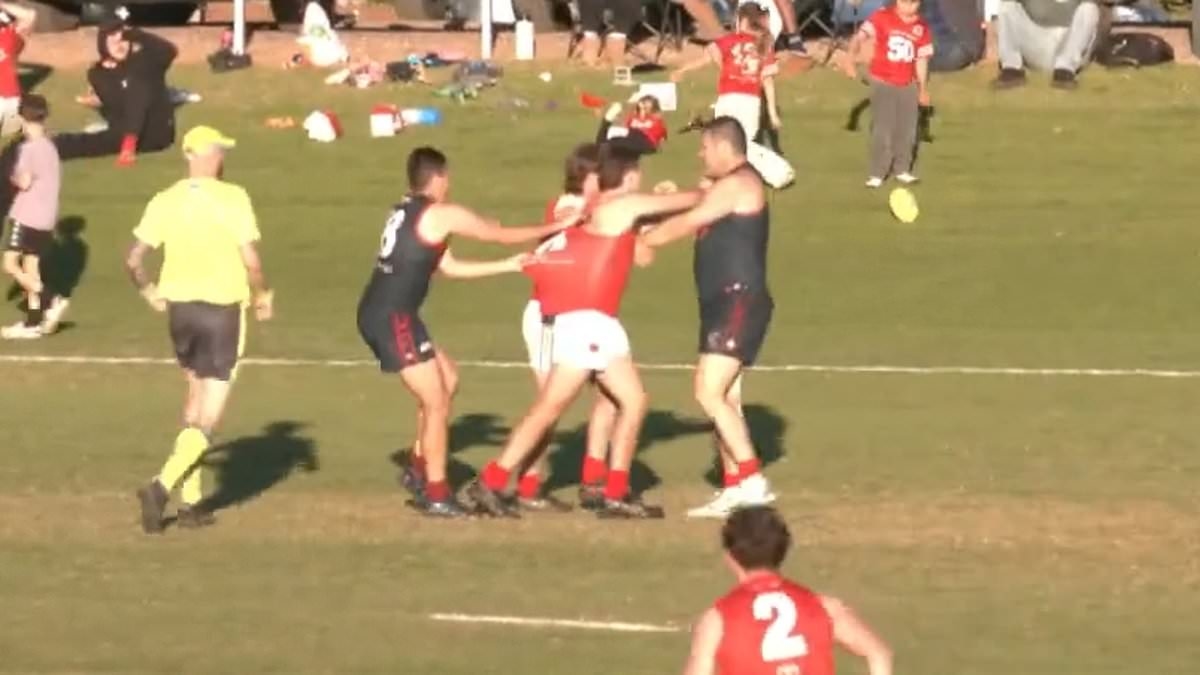 Brendan Fevola reveals what REALLY happened in wild footy brawl that saw him sent off the field - and the very Aussie thing he did straight after