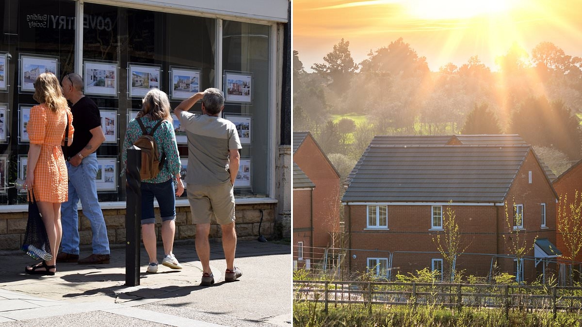 House prices see biggest monthly fall since 2022 as buyers demand big discounts