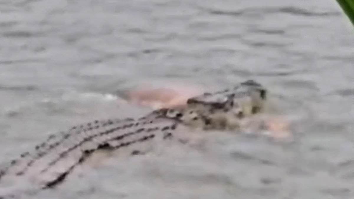Crocodile drags grandfather to his death in its jaws as brave villagers fight beast with sticks